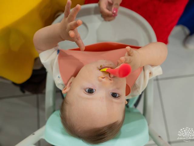 Festa Infantil de Henrique 1 anos