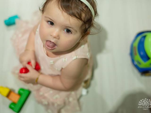 Festa Infantil de Isabella 1 ano