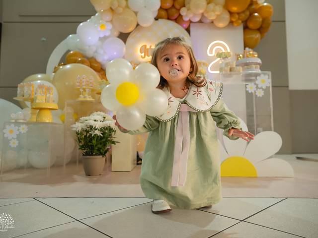 Festa Infantil de Júlia 2 anos