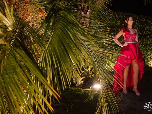 Festa 15 anos de Rafaella