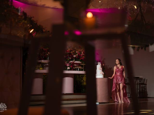 Festa 15 anos de Diulya