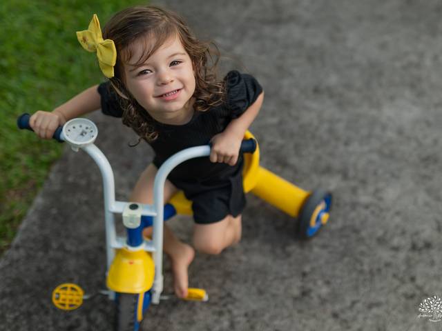 Festa Infantil de Laura 2 anos