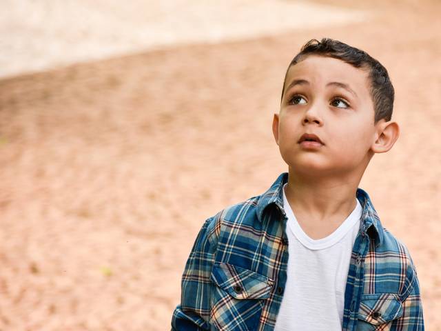 Ensaios em Geral de Luis Fernando