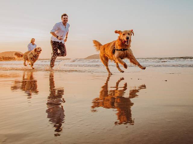 Ensaios de Ana Carolina e Jan Michael