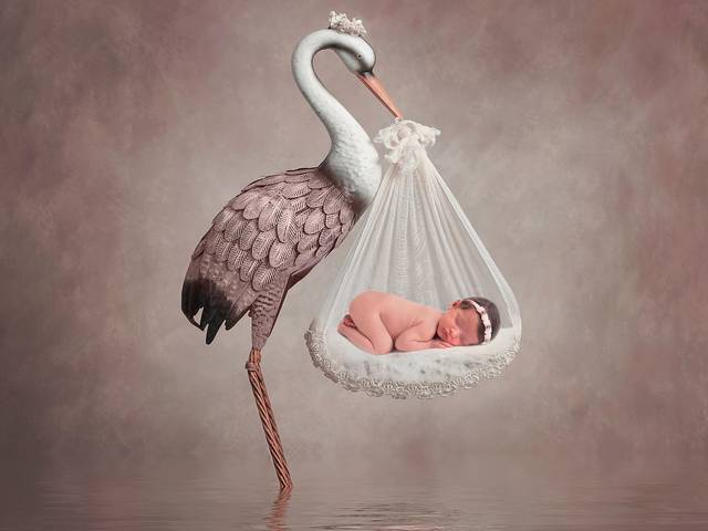 Ensaio Newborn de Newborn Liz