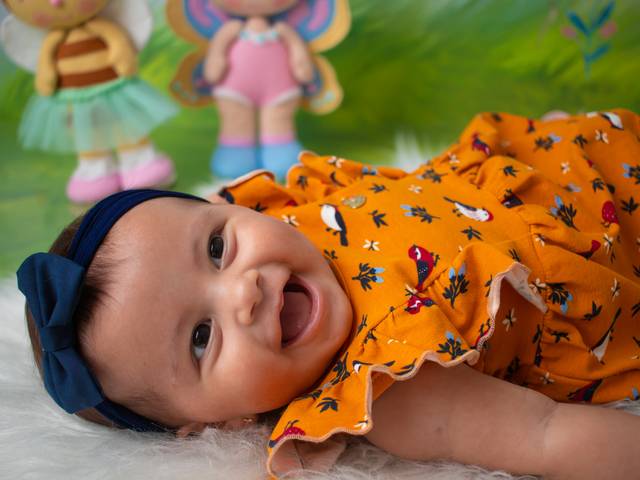 Acompanhamento Mensal de Liz