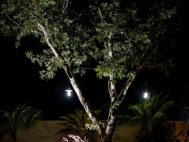 Casamento de Casamento Danielly + Daniel 