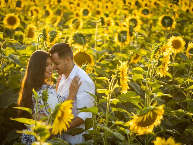 Pré Wedding de Andriara + Mateus 