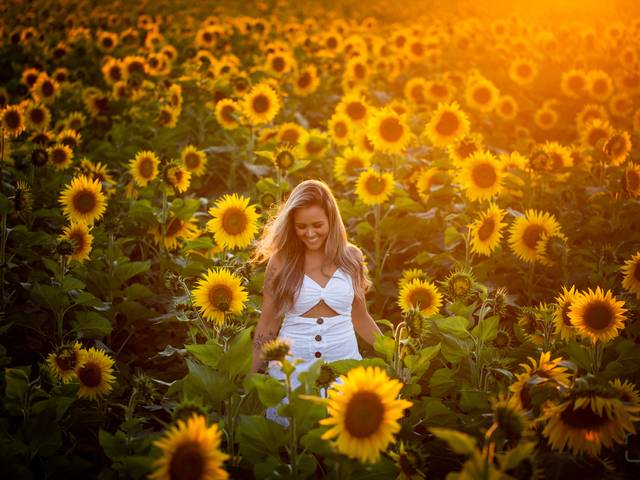 Ensaios de Ensaio Renata