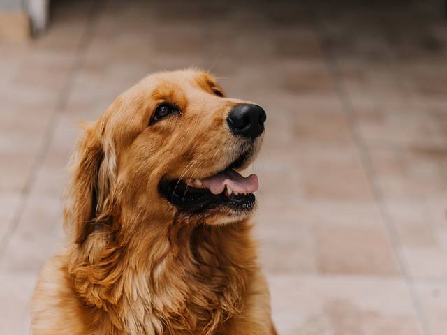 Casamento de Bruna e Henrique