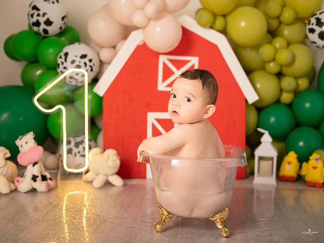 ACOMPANHAMENTO MENSAL de PEDRO