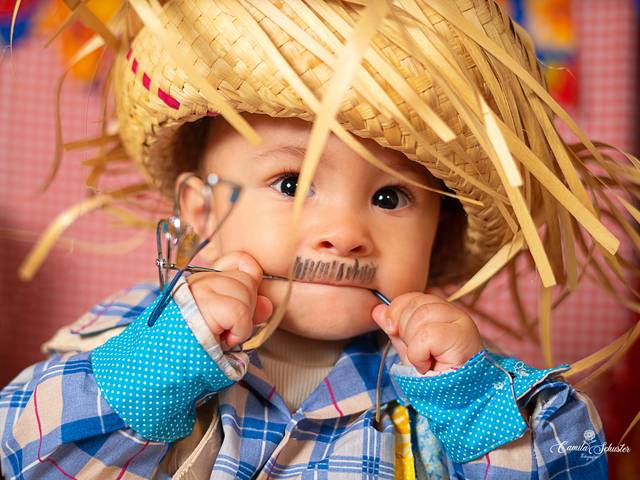 ACOMPANHAMENTO MENSAL de Acompanhamento Apollo