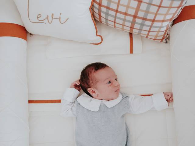 Família de Levi - Os primeiros dias