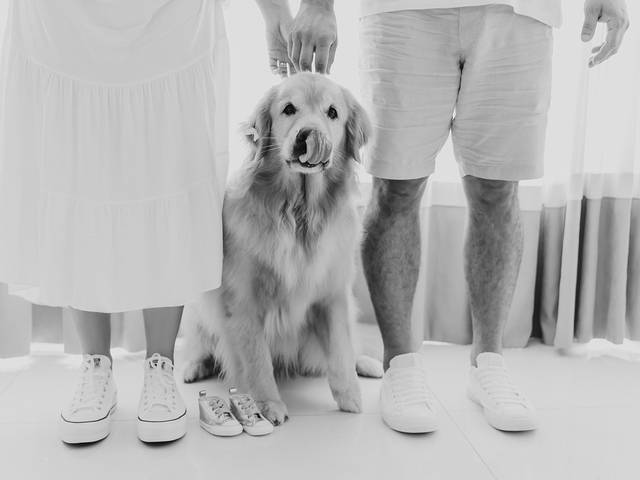 SAVE THE DATE- Gestante de SAVE THE DATE-JESSICA E VICTOR