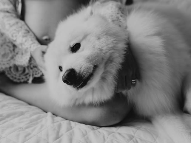 Intimista GESTANTE de INTIMISTA GESTANTE-BRUNA E ARNALDO