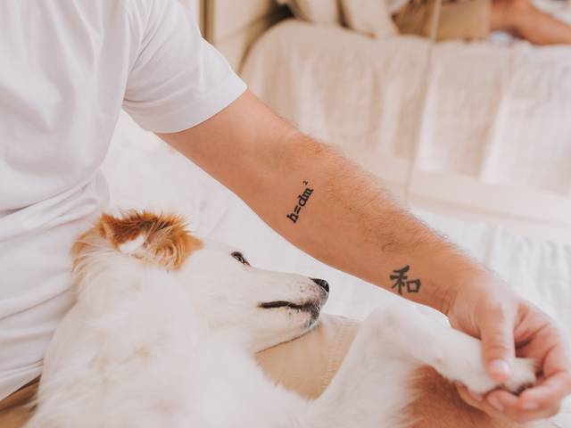 Intimista GESTANTE de INTIMISTA GESTANTE- ALINE E JOÃO