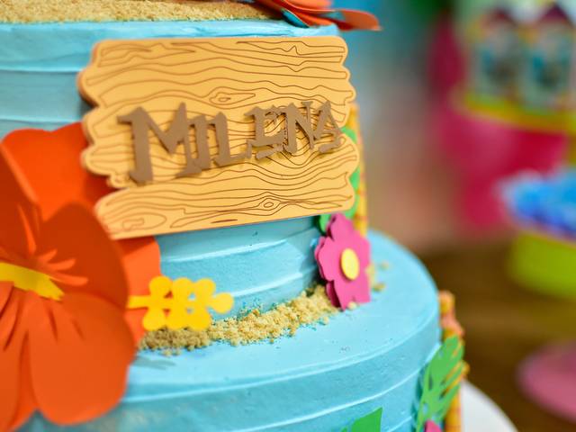 Festas Infantis  de Milena 8 Anos