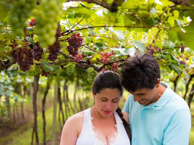 Ensaio Gestante de Bernardo