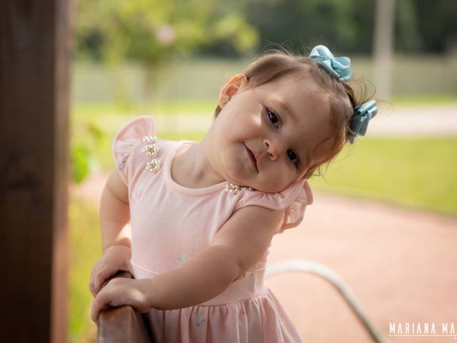 Acompanhamentos de Lavínia