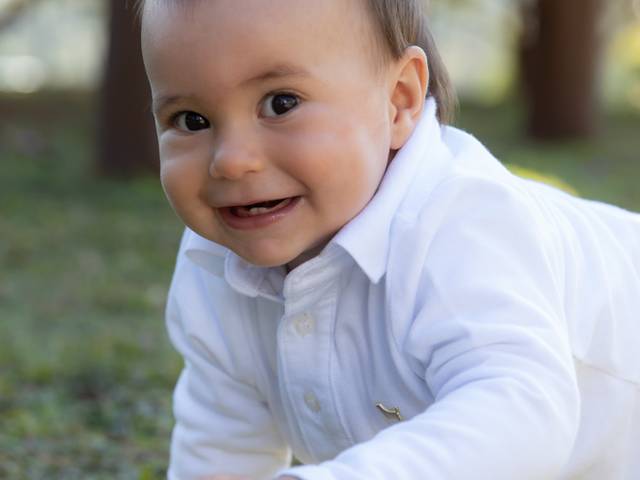 Acompanhamentos de Matheus