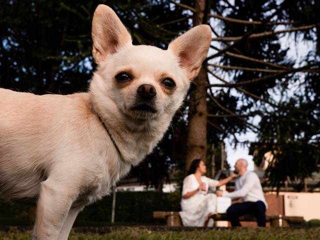 Pré Casamento de Taísa & Felipe