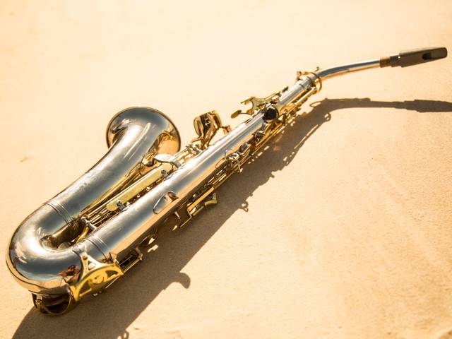 Banda/Artista de Sax in the House Summer