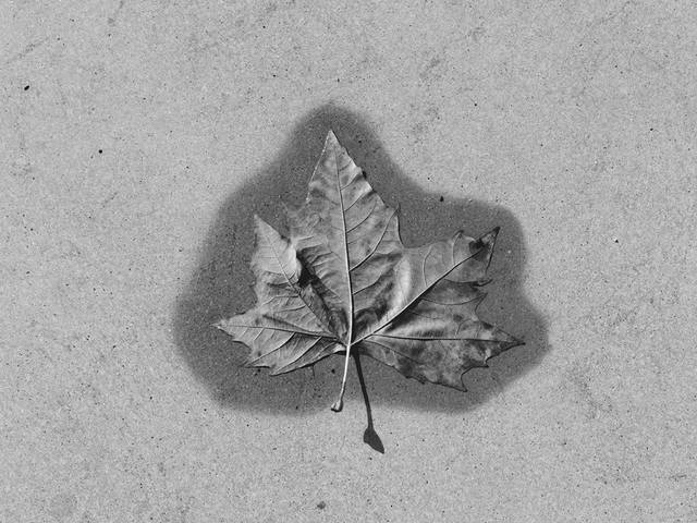 Projeto de Autor  de Dias de Chuva 