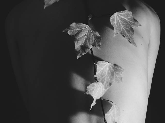 Projeto de Autor  de Ganhar Raízes 