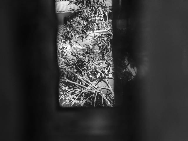 Projeto de Autor  de Quarantine Pieces 