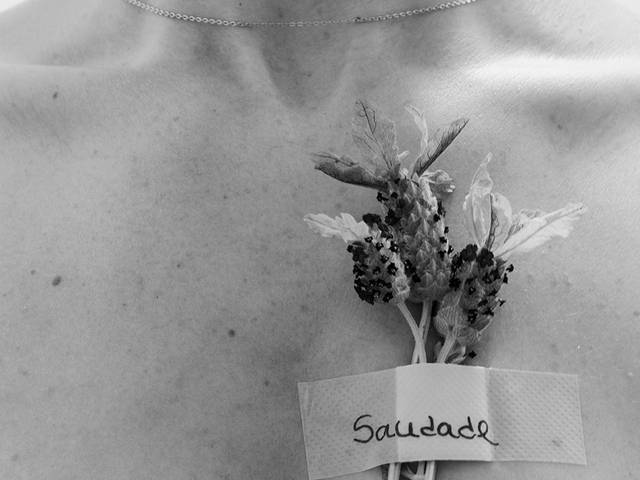 Projeto de Autor  de 38 Dias de Isolamento 