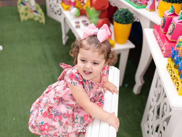 Aniversário Infantil de Luiza | 2 anos