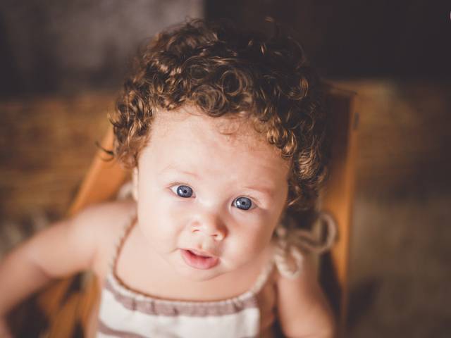 Bebês de Davi - 6 Meses