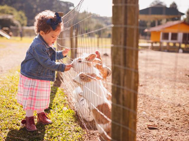 Infantil de Aylla - 2 Anos