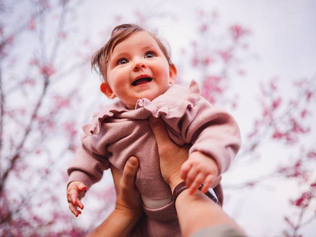 Bebês de Clarice 6 meses