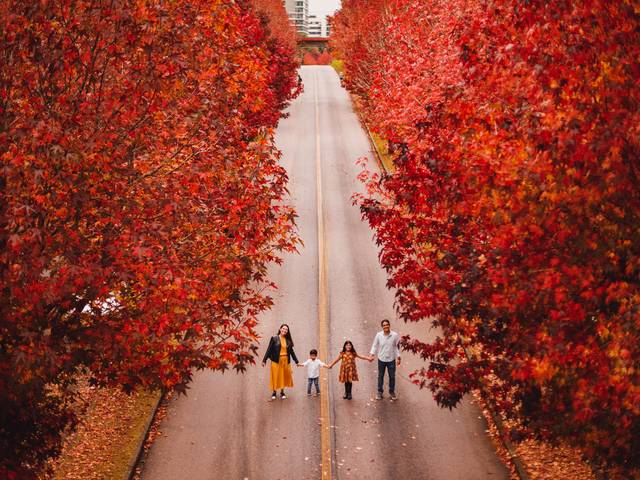 Família de Outono Ana Luisa e Pedro