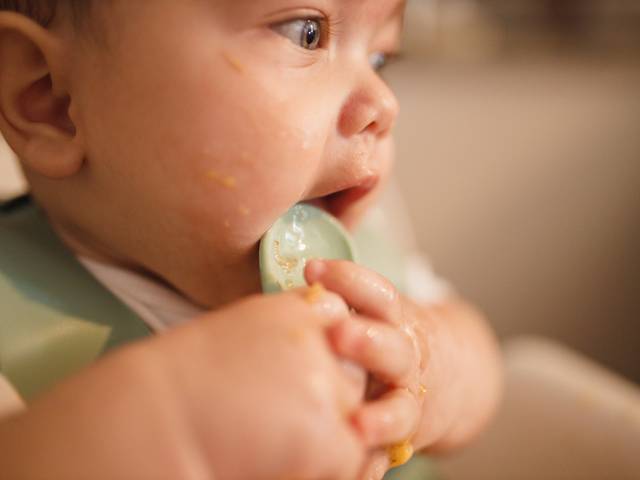 Bebês de Thomas - 6 Meses