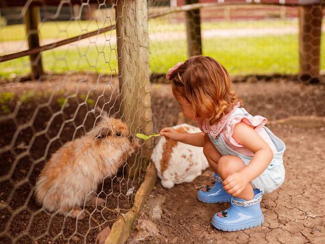 Família de Bianca - 2 anos
