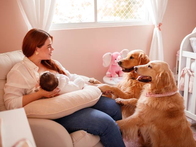 Aniversário/Chá de Bebê de Bella - 2 meses