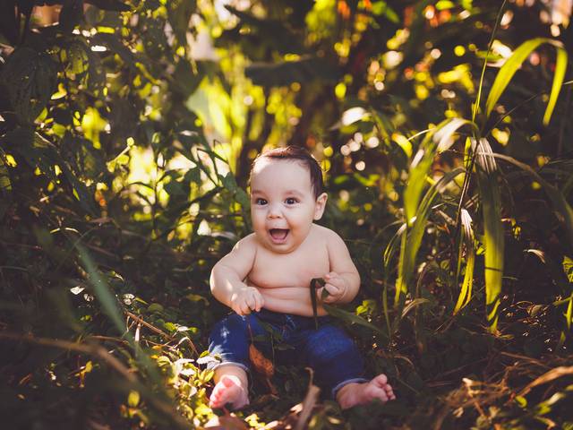 Bebês de Noah - 8 Meses