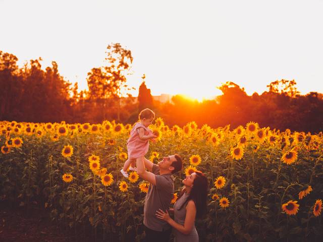 Bebês de Pietra no Girassol