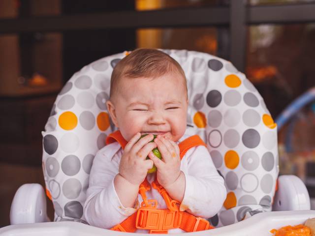 Bebês de Artur - 7 Meses