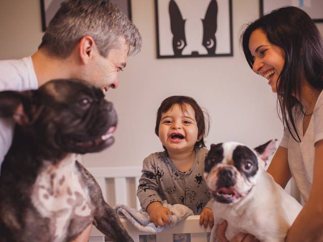 Bebês de Miguel - 12 Meses 