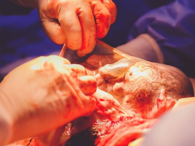 Nascimento de Luca & Lara