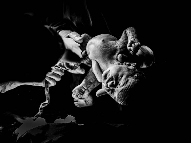 Nascimento de Olivia 