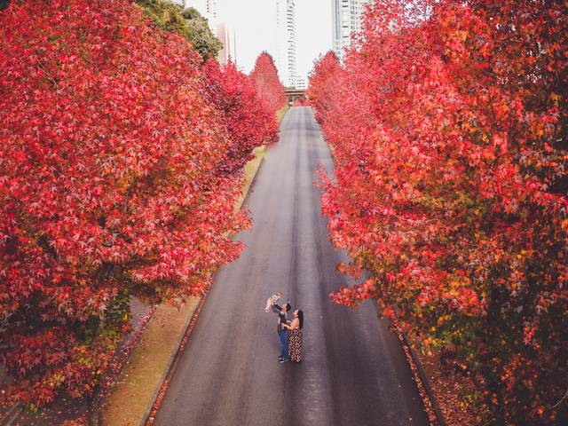 Bebês de Theo - 6 Meses