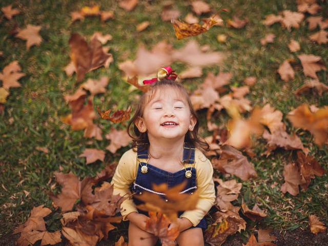 Bebês de Outono da Mari 