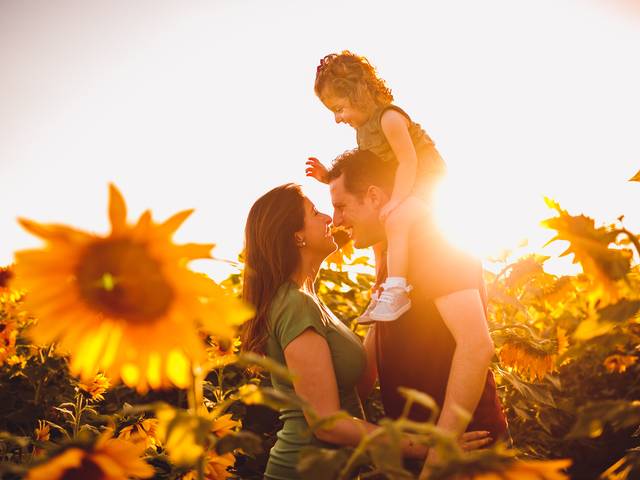 Bebês de Pietra no Girassol