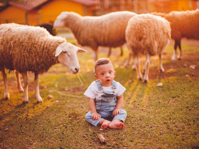 Bebês de Ber na Fazendinha
