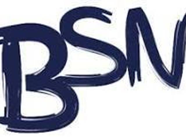 education of Achieving Academic Excellence: The Essential Role of Professional BSN Writing Services