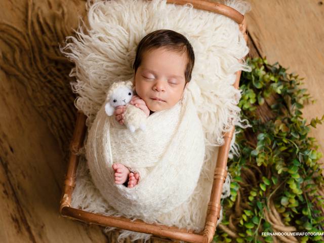 Newborn de Owen - Newborn
